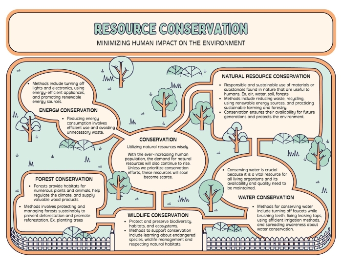 Sixth Grade Fractions Research Note-Taking Graphic Organizer Template 11 Research Graphic Organizer template showing note-taking sections for sixth grade students gathering information about fractions for informational essays