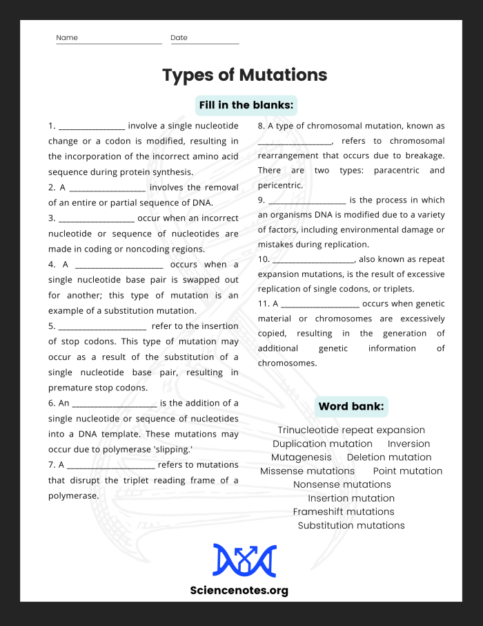 Students exploring genetic mutations in a sixth-grade life science worksheet