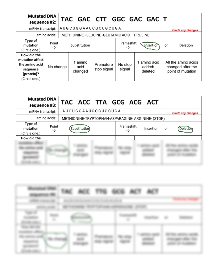 Sixth grade students examining a diagram of DNA sequences in a life science genetic mutations worksheet