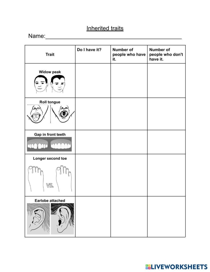 Engaging life science worksheet: How Do We Influence the Inheritance of Traits? Worksheet exploring the concepts of natural and artificial selection for sixth graders