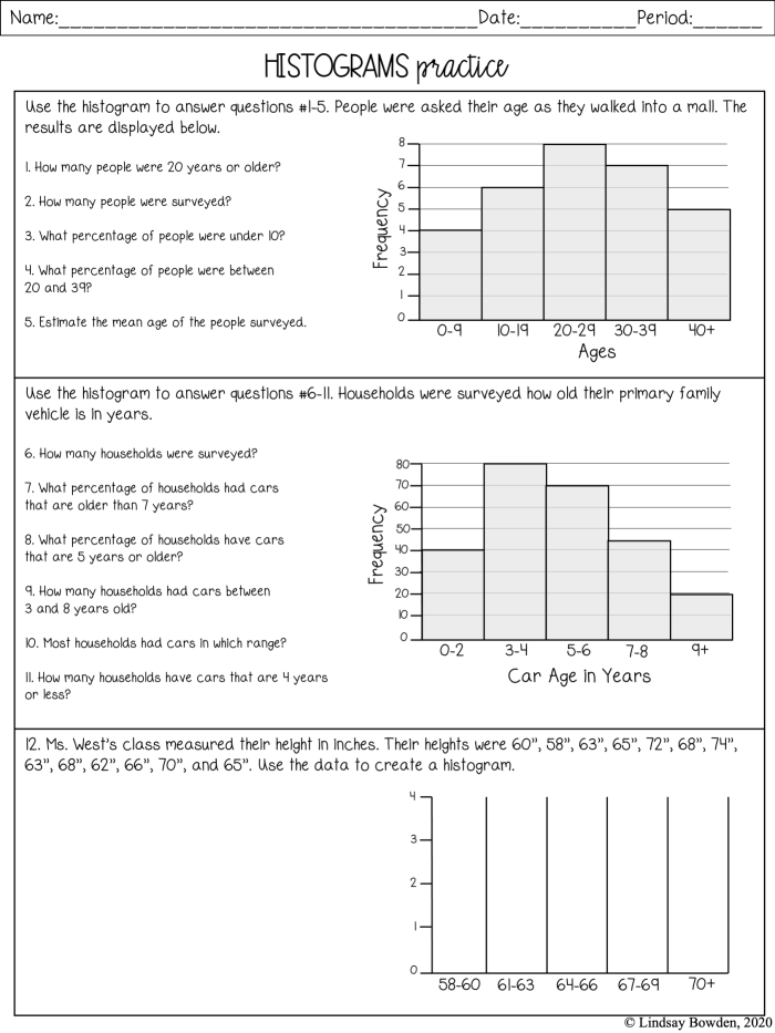 Sixth grade math students practicing data analysis with a two-page worksheet on describing distributions in histograms