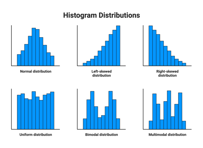 Sixth grade students practice analyzing data sets by describing distributions in histograms on this two-page math worksheet