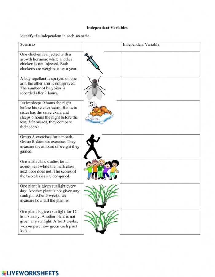 Sixth grade math worksheet for identifying independent and dependent variables in real-world scenarios