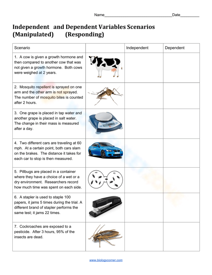 Worksheet for identifying independent and dependent variables in real-world scenarios for sixth graders