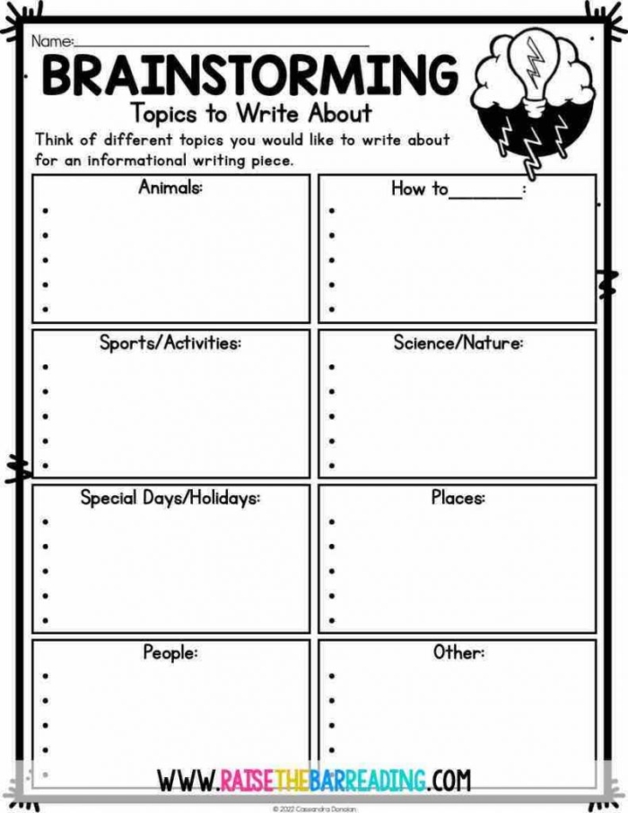 Sixth grade informational writing graphic organizer worksheet for planning essays