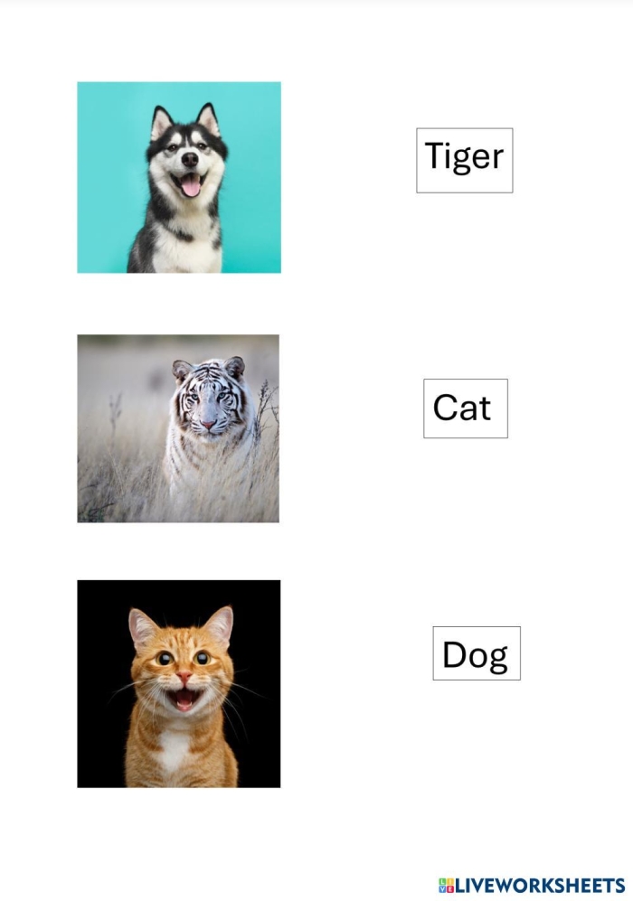 Sixth grade worksheet for matching language to the appropriate context in addition exercises