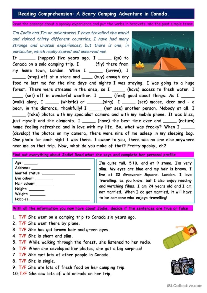 Reading Comprehension The Adventure Begins worksheet for grade six learners Sixth grade student completing a reading comprehension worksheet titled The Adventure Begins