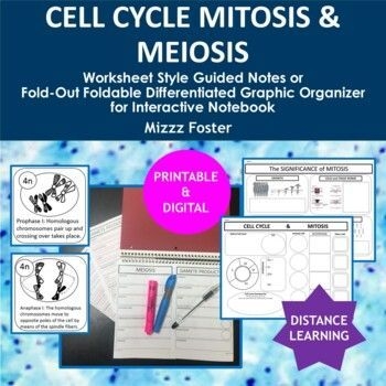 Worksheet template for recording notes on the cell cycle and mitosis concepts