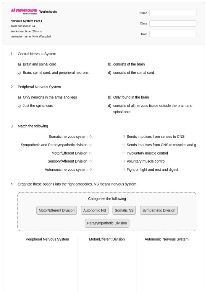 An educational worksheet on the sensory nervous system for sixth graders