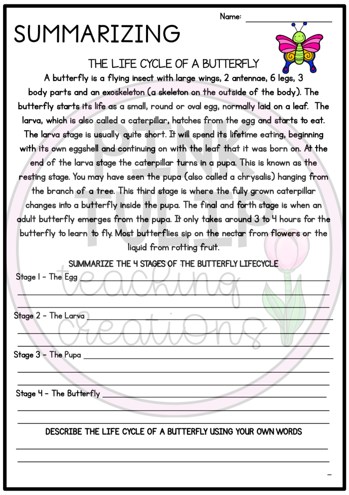 Graphic organizer worksheet for summarizing key ideas in nonfiction texts for sixth graders