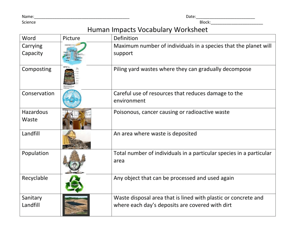 Sixth grade students analyzing overfishing data and environmental impact on worksheet nineteen