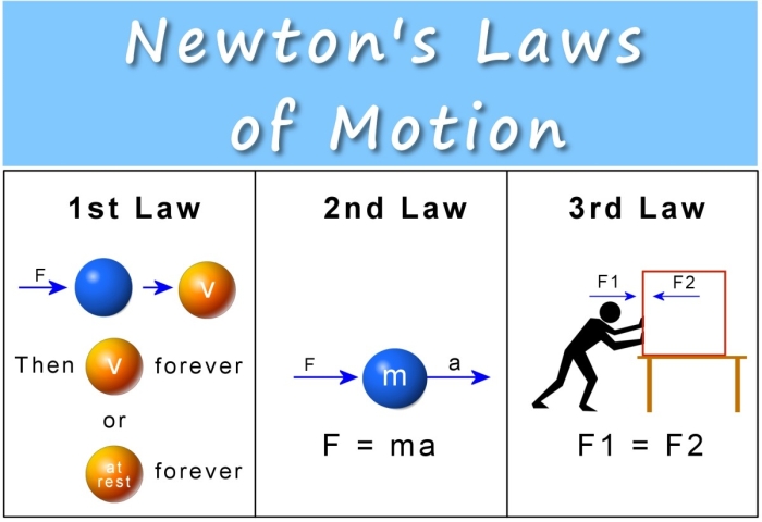 Sixth grade student completing a physics worksheet about Newton's Second Law involving mass and force