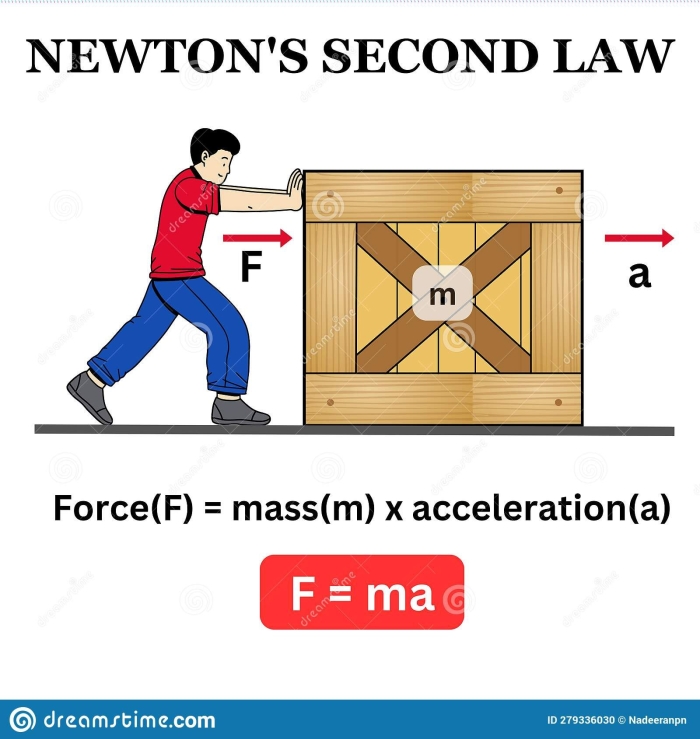 Sixth grade student completing a physics worksheet about Newton's Second Law involving force and mass