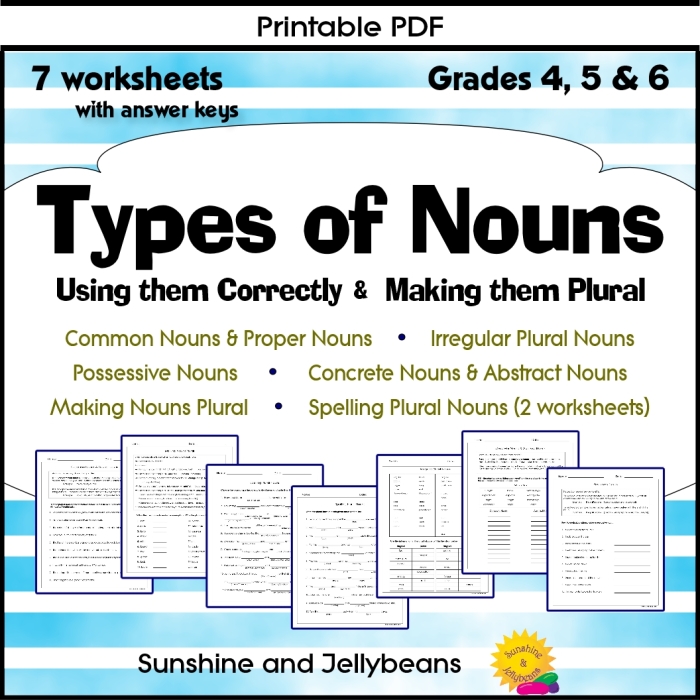 Sixth grade grammar worksheet focusing on spelling rules for plurals and possessives