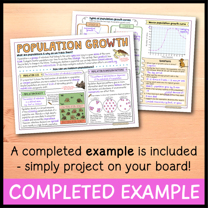Educational resource for sixth-grade algebra on population growth factors Worksheet illustrating population growth factors in a forest ecosystem featuring fox and rabbit dynamics