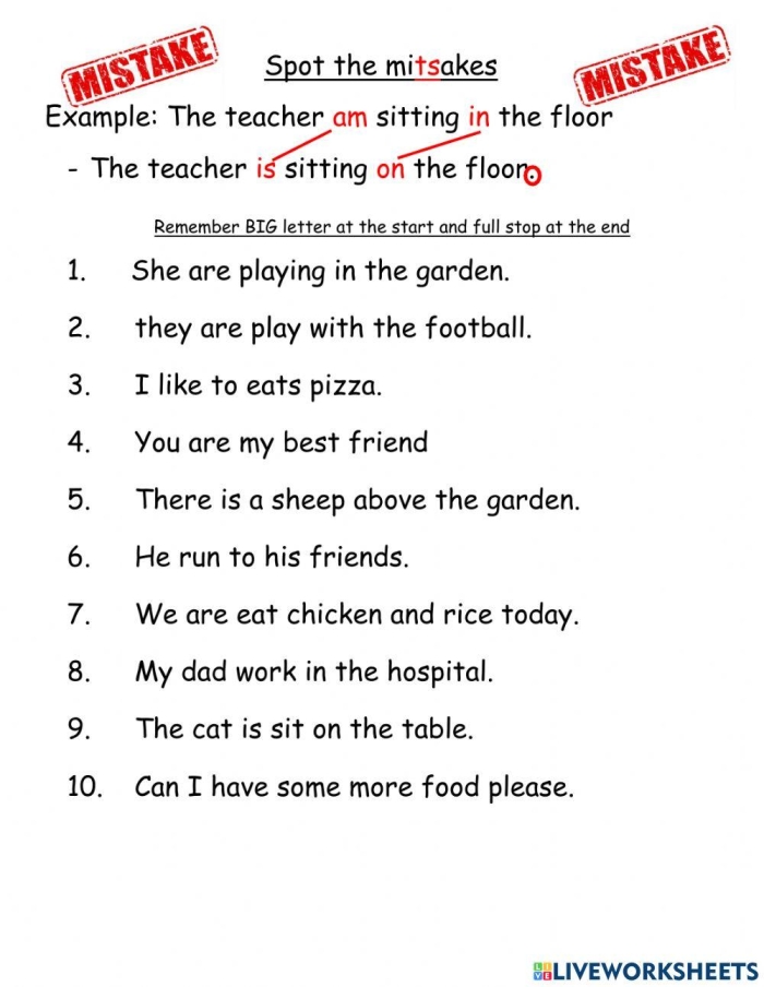 Correcting Pronoun Mistakes Practice Exercise 20 Sixth grade grammar worksheet showing sentences with pronoun errors that students must identify and correct