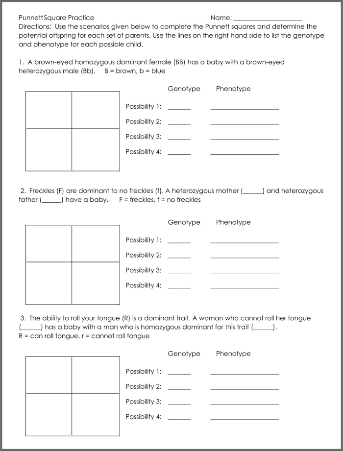 Punnett squares worksheet for sixth graders to learn about genetic inheritance