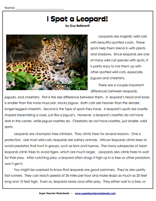 Worksheet for sixth graders to explore their reading goals and identities