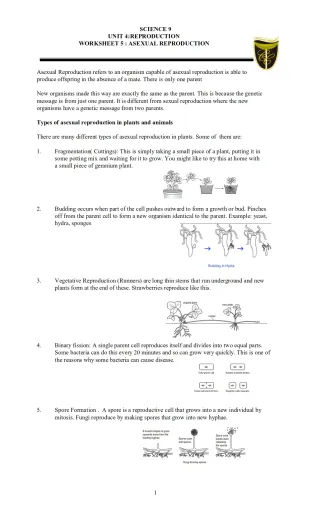 Sixth grade science worksheet covering the distinct processes of sexual and asexual reproduction