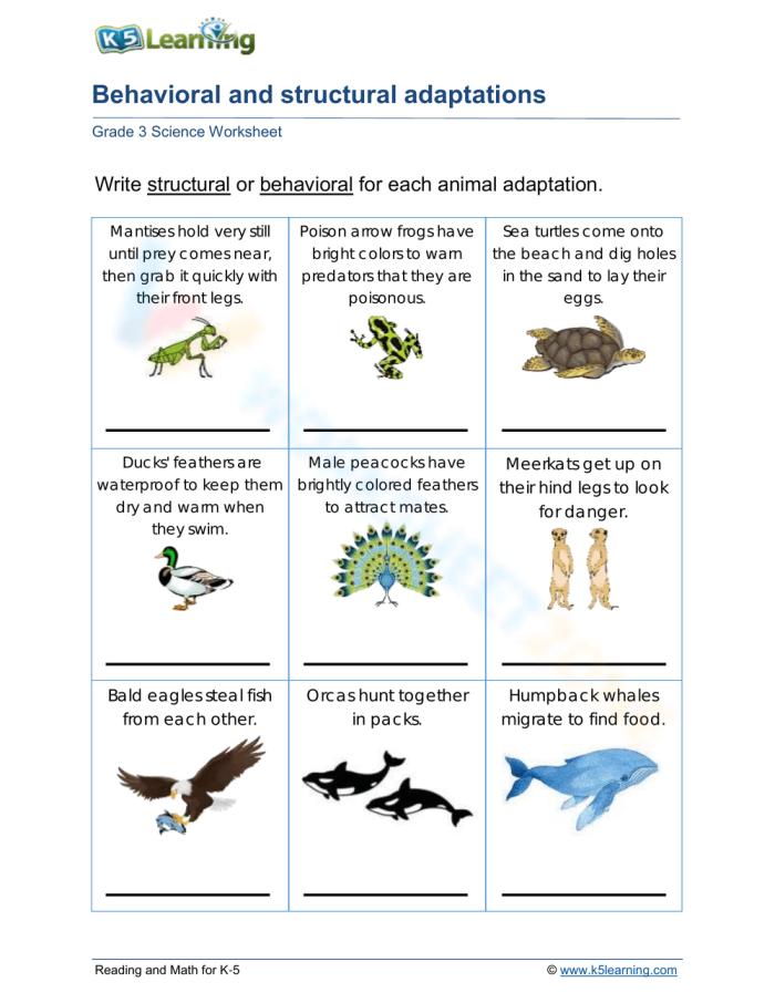 Animals demonstrating various reproduction strategies and mating behaviors in their natural habitats