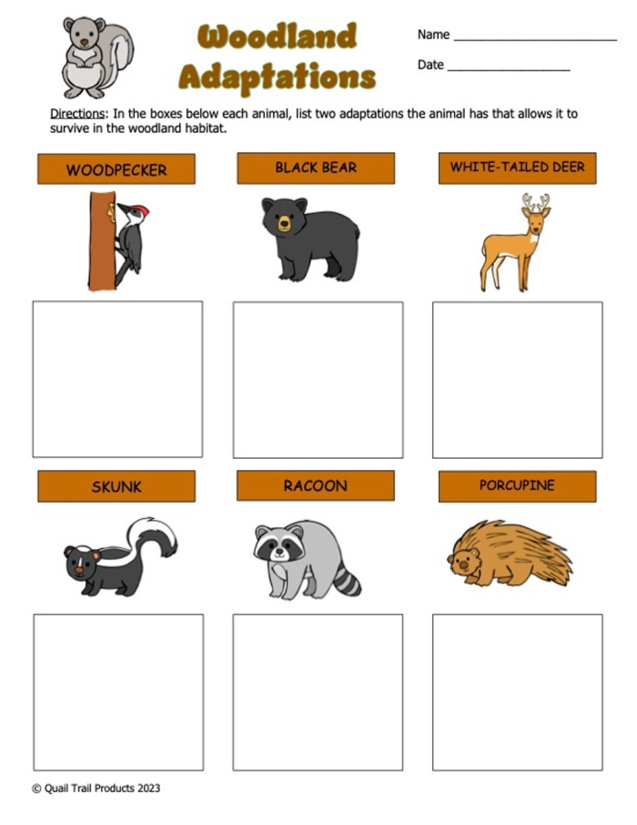 Sixth grade science worksheet exploring animal reproductive strategies and offspring survival