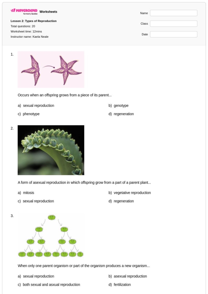 Sixth grade science worksheet covering asexual and sexual reproduction types