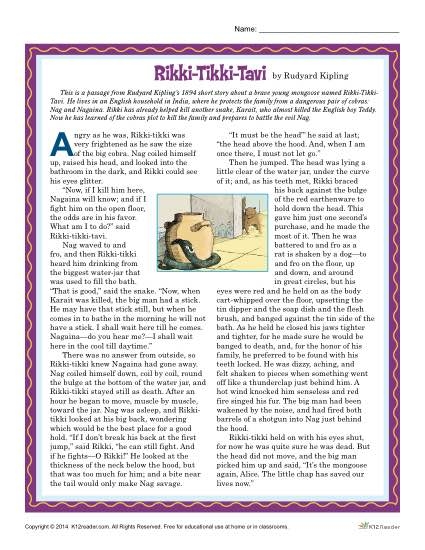 Sixth grade student reading about Rikki-tikki-tavi the mongoose in a comprehension worksheet based on Rudyard Kipling's classic story