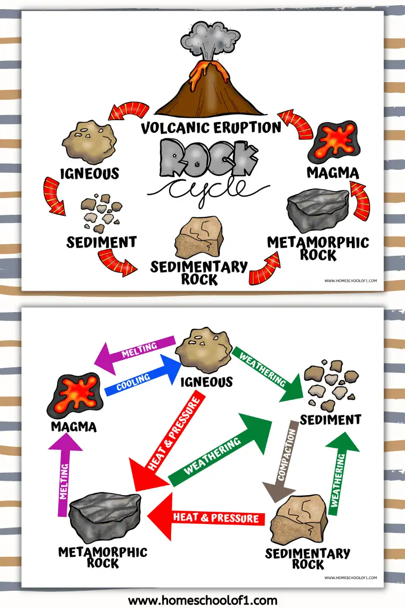 Sixth grade student completing a rock cycle energy flow worksheet with diagrams
