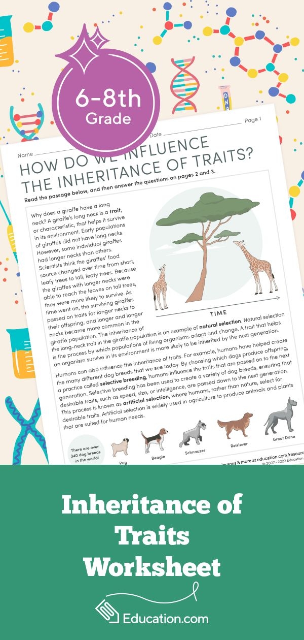 How Do We Influence the Inheritance of Traits Worksheet 13 Sixth grade student filling out a science worksheet about natural and artificial selection traits