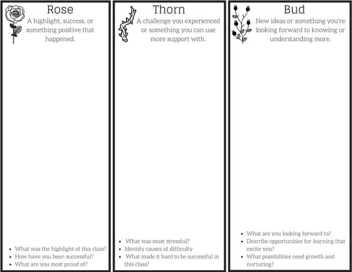 Sixth grade fraction worksheet featuring a rose and thorn reflection activity for emotional learning