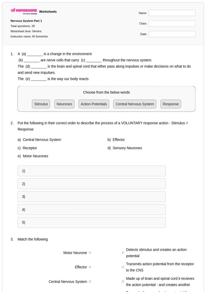 Sixth grade sensory nervous system anatomy worksheet exploring sensory function