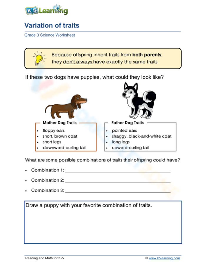 Engaging life science worksheet for sixth-grade students on trait influence Worksheet illustrating the concepts of natural and artificial selection in trait inheritance