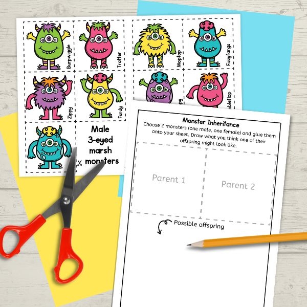 Engaging life science worksheet for sixth graders on inheritance of traits Worksheet illustrating the concepts of natural and artificial selection in trait inheritance