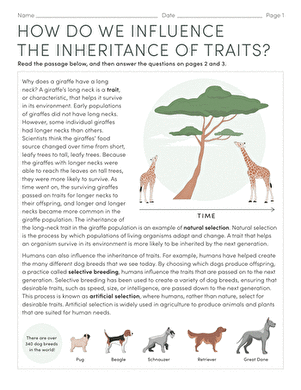Inheritance of Traits Worksheet Eight Natural vs Artificial Selection Sixth grade students comparing natural and artificial selection in this life science worksheet