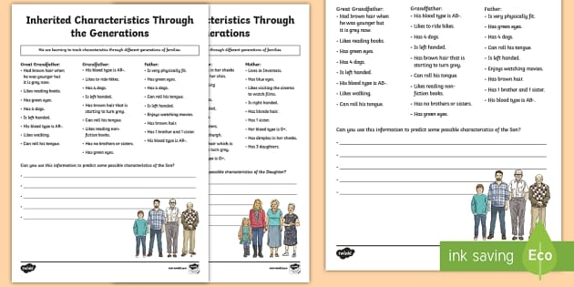 Engaging sixth-grade life science worksheet on inheritance and selection methods Worksheet exploring the influence of traits inheritance through natural and artificial selection