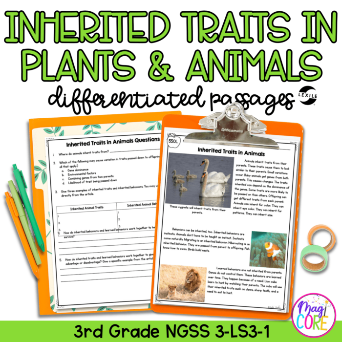 How Do We Influence the Inheritance of Traits Worksheet 24 Sixth grade worksheet explaining the influence of natural and artificial selection on trait inheritance