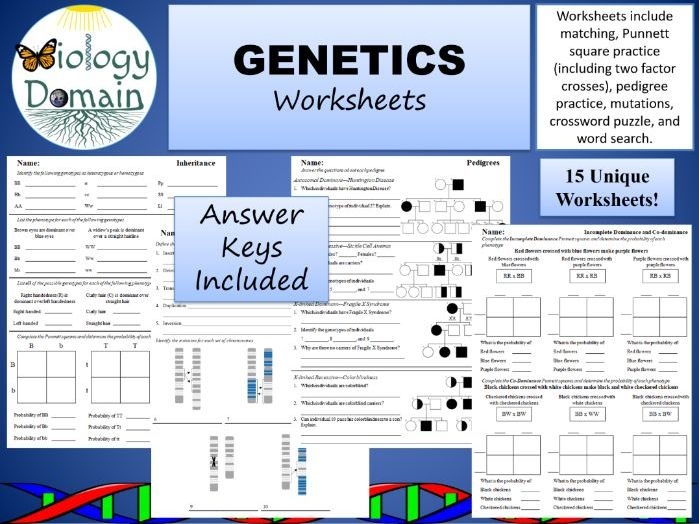 How Do We Influence the Inheritance of Traits Worksheet Twenty Sixth grade worksheet exploring the influence of natural and artificial selection on trait inheritance