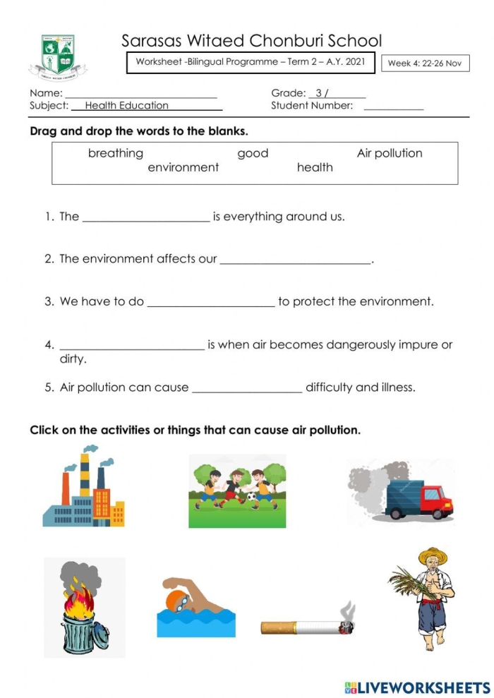 Sixth grade science worksheet focused on analyzing the environmental consequences of water pollution