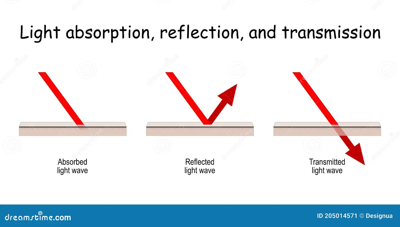 Engaging physical science worksheet for sixth graders on wave behavior Worksheet illustrating wave interactions with materials including transmission, absorption, and reflection