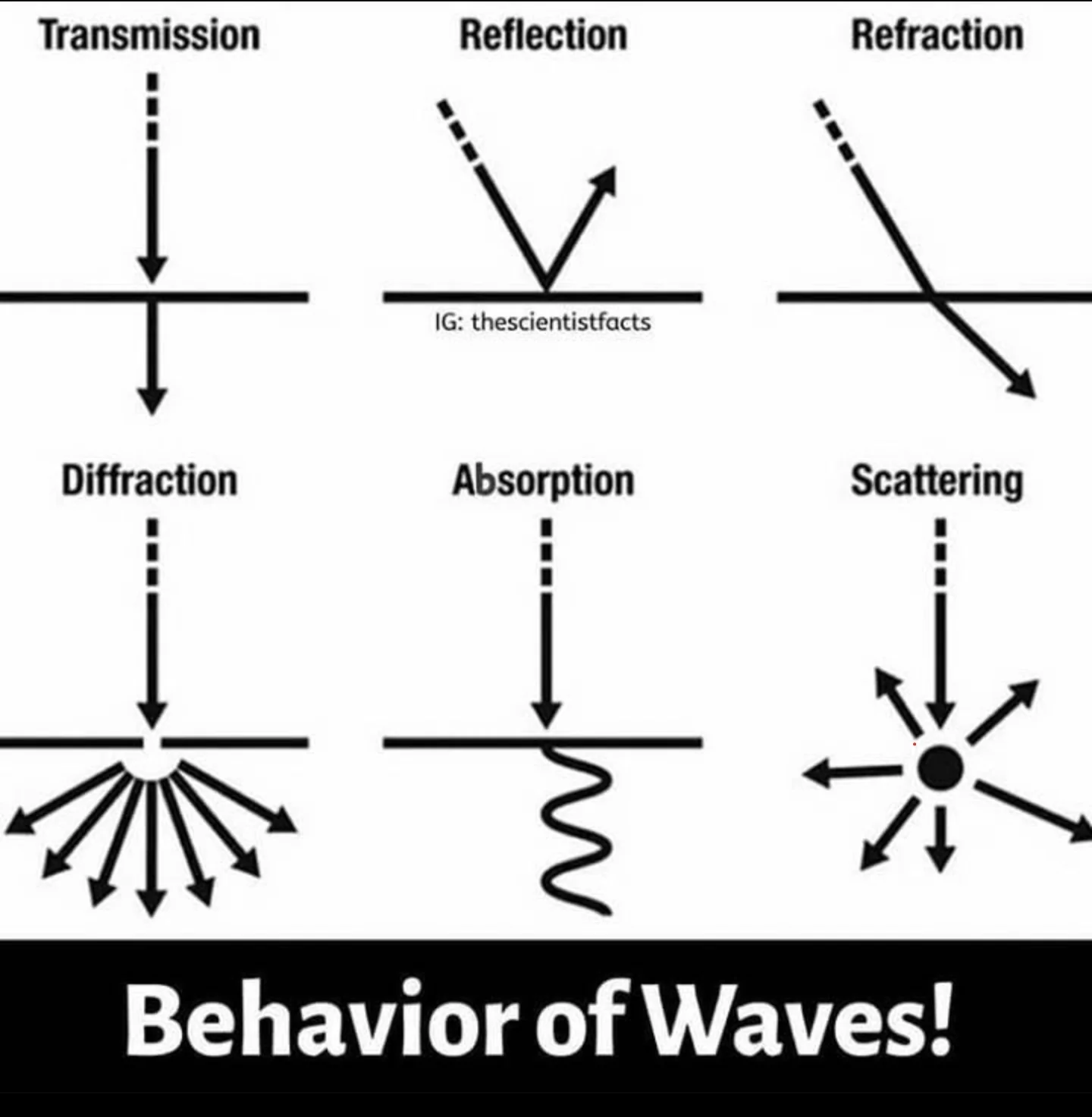 Transmission, Absorption, and Reflection: Understanding Wave Interactions in Science Diagram illustrating wave interactions with materials for a sixth-grade physics worksheet