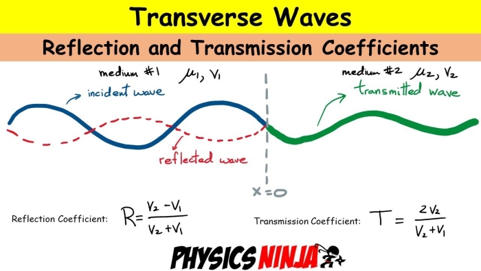Interactive physical science activity illustrating light and sound wave interaction patterns 17 Sixth grade science worksheet showing wave behavior examples of transmission absorption and reflection