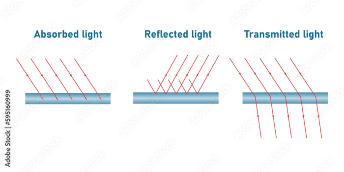 Transmission, Absorption, and Reflection: Understanding Waves in Physical Science Worksheet illustrating wave interactions with materials for sixth graders