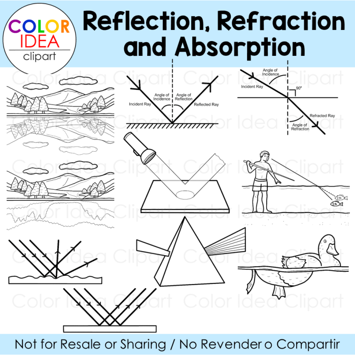 Worksheet 8 Transmission Absorption and Reflection of Waves Physical Science Activity A sixth grade science worksheet explaining how waves behave when encountering different materials through transmission, absorption, and reflection