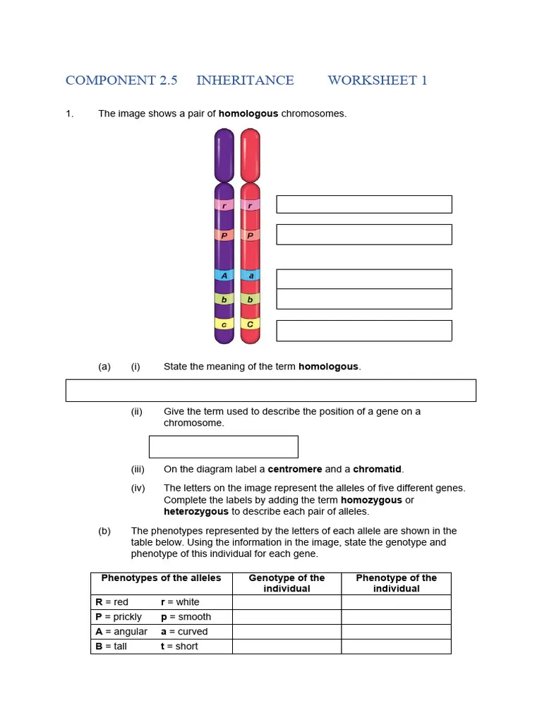 Engaging life science worksheet exploring trait inheritance concepts Illustration of a worksheet focused on natural and artificial selection for sixth graders