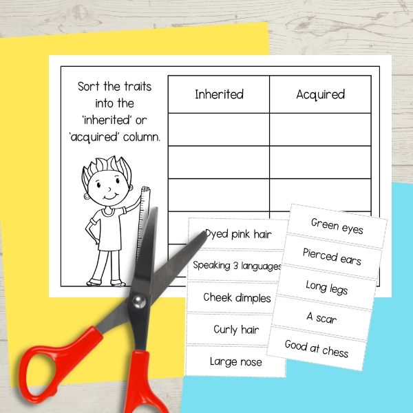 Engaging life science worksheet for sixth graders exploring trait inheritance concepts Illustration of a worksheet focused on the influence of traits inheritance through natural and artificial selection