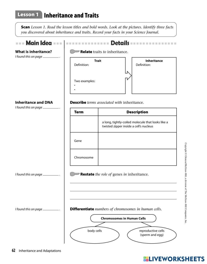 How Do We Influence the Inheritance of Traits Worksheet Lesson 7 Sixth grade life science worksheet comparing natural and artificial selection processes