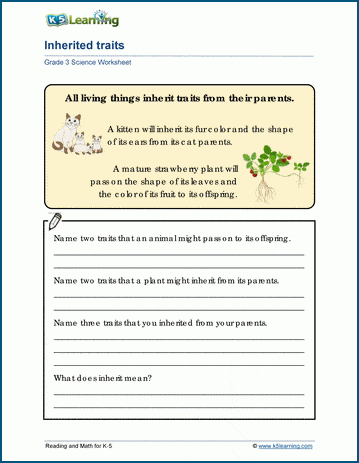How Do We Influence the Inheritance of Traits? educational worksheet for sixth graders Worksheet on the influence of traits inheritance through natural and artificial selection