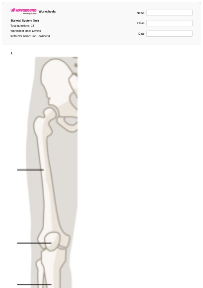 Fifth grade student using a skeletal system quiz worksheet in Spanish to identify bone names