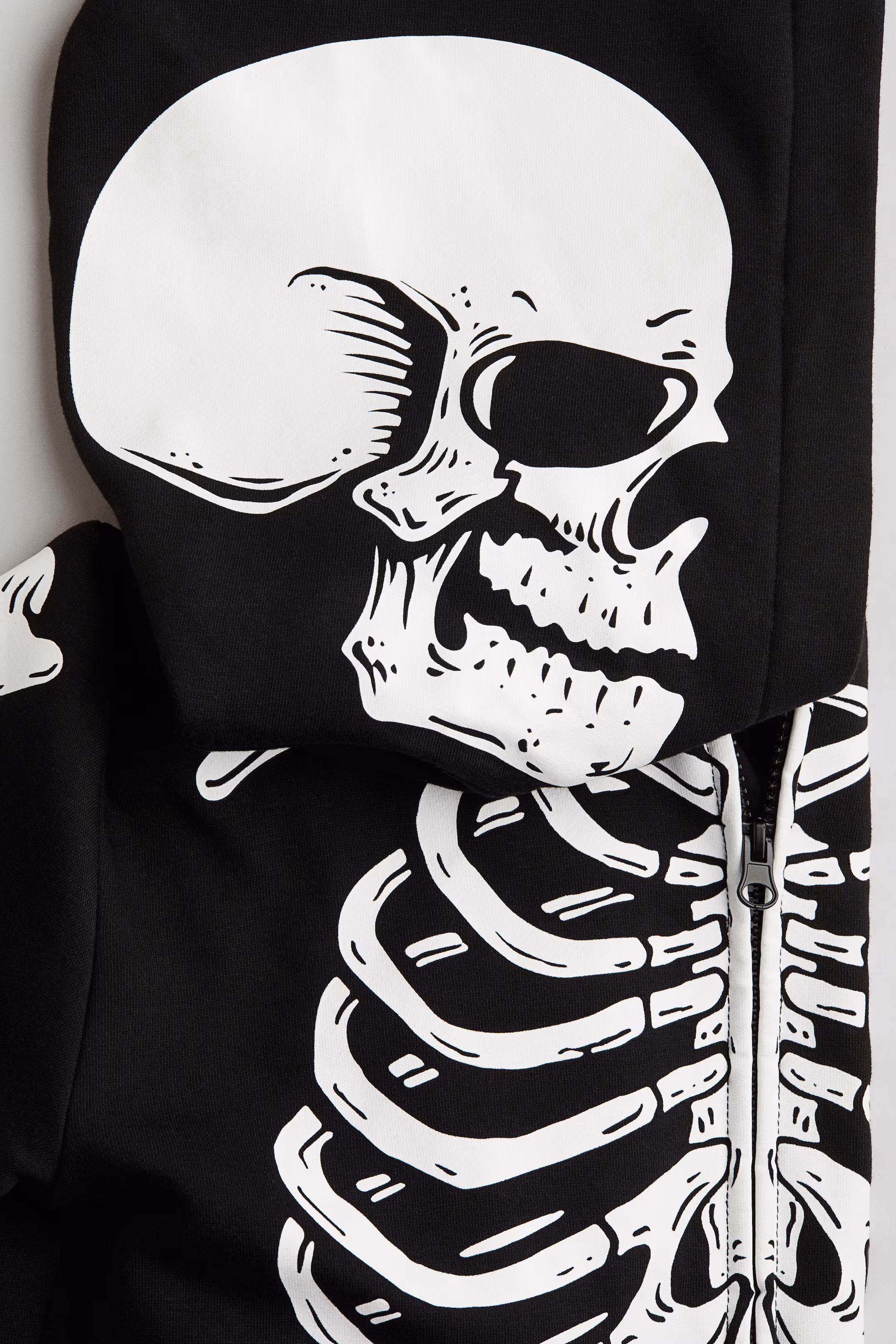 Fifth grade science worksheet featuring a diagram of a human skull with blank spaces for labeling bone parts