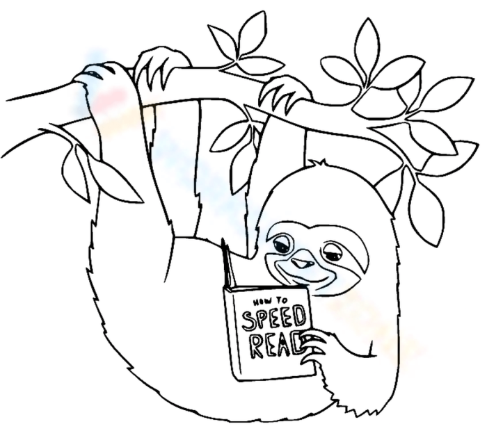 A colorful worksheet featuring a sleepy sloth and reading comprehension questions for kindergarten students